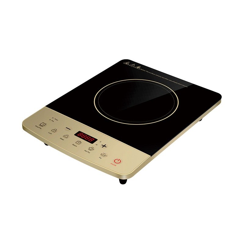 Induction for home DFY-2205A